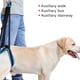 thumbnail image 4 of Pet Back Leg Walking Aid Dog Guardia De Pierna Trasera Perro Cinturón Auxiliar Suministros Para Mascotas sonducket PT001414-02, 4 of 7