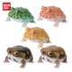 thumbnail image 3 of Figura original de Bandai Gashapon, organismo, libro ilustrado, rana cornuda, Breviceps Adspersus, juguetes para niños, regalo, modelo coleccionable, 3 of 5
