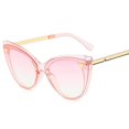 thumbnail image 1 of Unisex Square Classic Cat Eye Sunglasses Cateye Sunglasses Y1092, 1 of 4