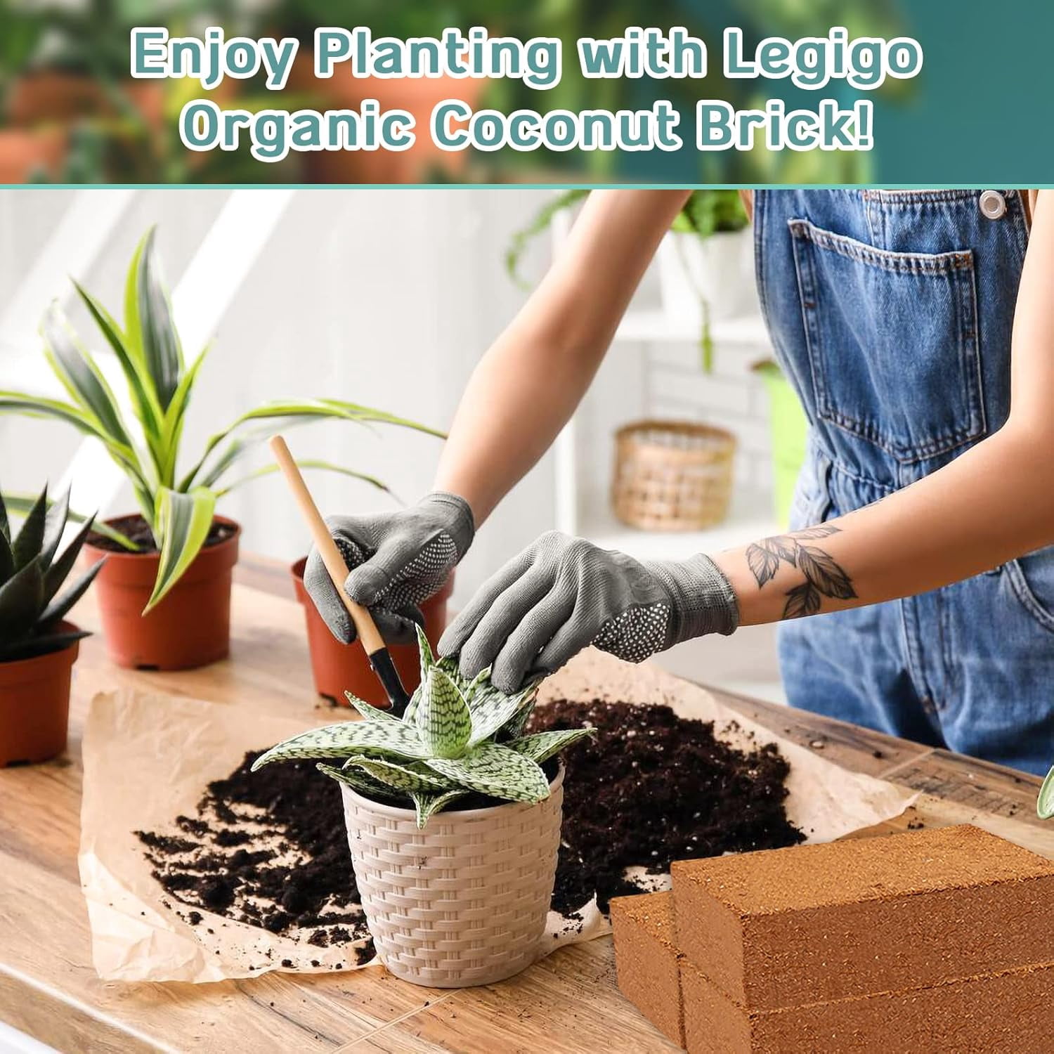 2 Pack Premium Coco Coir Brick for Plants- 100% Organic Compressed Coconut Coir Bricks Starting Mix, Coco Coir Fiber Coconut Husk for Planting, Gardening, Potting Soil Substrate, Herbs