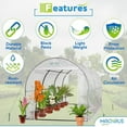 thumbnail image 4 of Machrus Ogrow Deluxe Walk-In Tunnel Greenhouse with White Cover – Large, Heavy Duty Greenhouse for Outdoors, 4 of 8