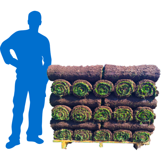 Fescue 500 sq. ft. Sod Pallet