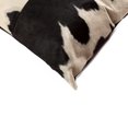 thumbnail image 2 of Natural Torino Geneva Neutral Cowhide Pillow | 2-Pack | 18"x18", 2 of 2