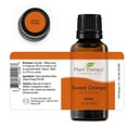 Plant Therapy Sweet Orange Essential Oil 100 Pure, Undiluted, Natural