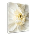 thumbnail image 2 of Tangletown Art, 25 x 25 "Peony Praise " by Rebecca Swanson, Gallery Wrap Canvas, 2 of 2