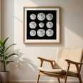 thumbnail image 6 of Sand Dollars - Photography Marine Life Beach Coastal Ocean Nautical Minimalist Aquatic Unframed Wall Art Print 6 x 6 inches, 6 of 9