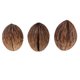 thumbnail image 5 of 3 piezas de conos de frutas secas pequeñas y naturales reales a granel para adornos de decoraciones navideñas para fiestas en casa Macarena Flores secas prensadas naturales, 5 of 7