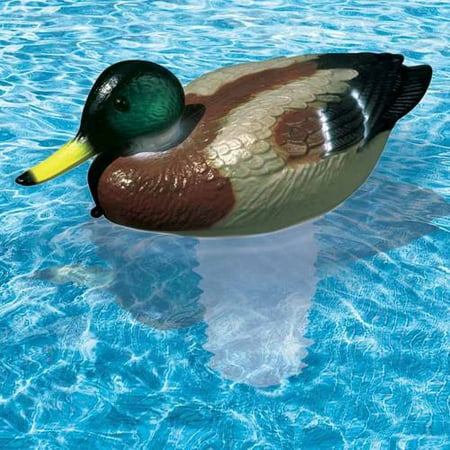 Poolmaster Premier Clori-Duck Mallard Chlorine Dispenser