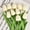 White, variant on Tulips Artificial Flowers 20 Pcs White Fake Tulip Stems Real Touch Tulips for Easter Spring Wedding Bouquet Home Centerpiece Floral Arrangement Table Décor
