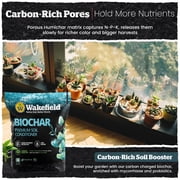 Biochar Premium Soil Conditioner - Wakefield BioChar - 4 qt