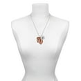 thumbnail image 3 of Delight Jewelry Acrylic Medium Triple Leaf Pearly Brown Silvertone Script Initial Disc - B - Charm Necklace, 20"+3", 3 of 4
