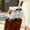 Grey, variant on Lightweight Shoulder Strap Pet Tote for Outdoor Travel with Breathable Mesh Window Comfortable Secure Backpack Alternative for Cats and Small Dogs