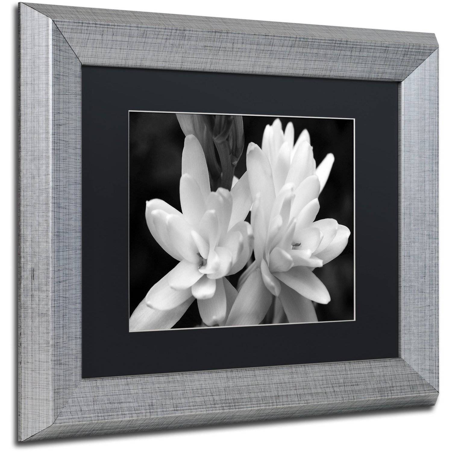 Trademark Fine Art "Tuber Rose in Black and White" Canvas Art by Kurt Shaffer, Black Matte, Silver Frame
