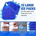 thumbnail image 5 of 2 Pcs Gilet de Refroidissement avec 48 Pcs Pack de Glace Gilet de Glace Réglable, 5 of 5