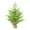 Green, variant on Norfolk Pine Tabletop Christmas Tree with LED Lights, 23.6 Inch Artificial Mini Xmas Tree with Real Touch PE Tips for Home, Office, Indoor & Outdoor Holiday Decor