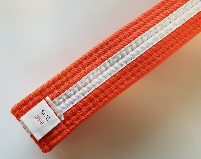 vil beslutte indenlandske tør Orange with White Stripe Karate Belt Taekwondo Belts Martial Arts MMA  Double Wrap Belts - Walmart.com