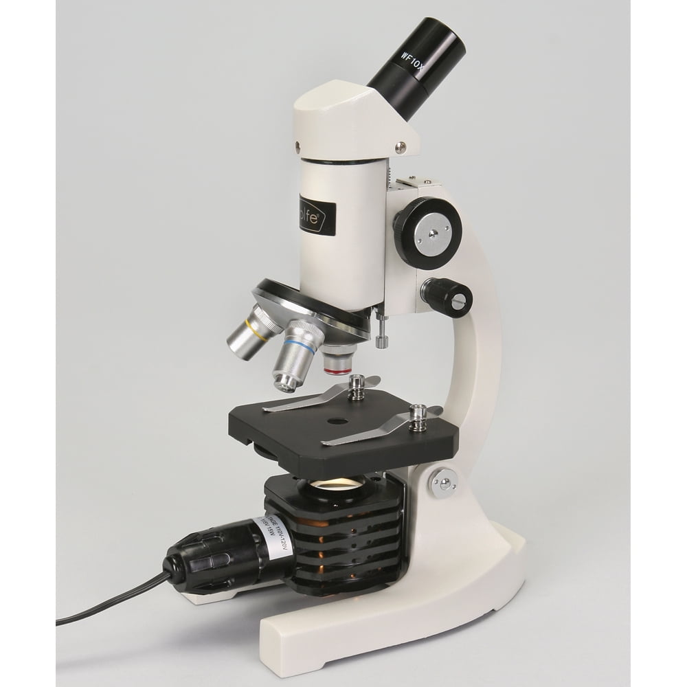 Wolfe® Introductory Student Microscope, 45° Inclined Head, Compact