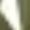 Army Green, variant on 2 Piece Clothing Sets for Girl Leisure Scoop Neck Short Sleeves Tops Long Pants Lounge Daily Wear