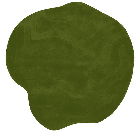 Curl Hand Tufted Irregular Area Rugs, 4 x 6