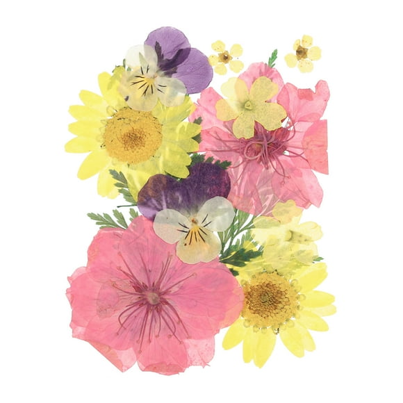 Dried Pressed Flowers Real Dry Pressed Resin Leaves for DIY Crafts Multicolor