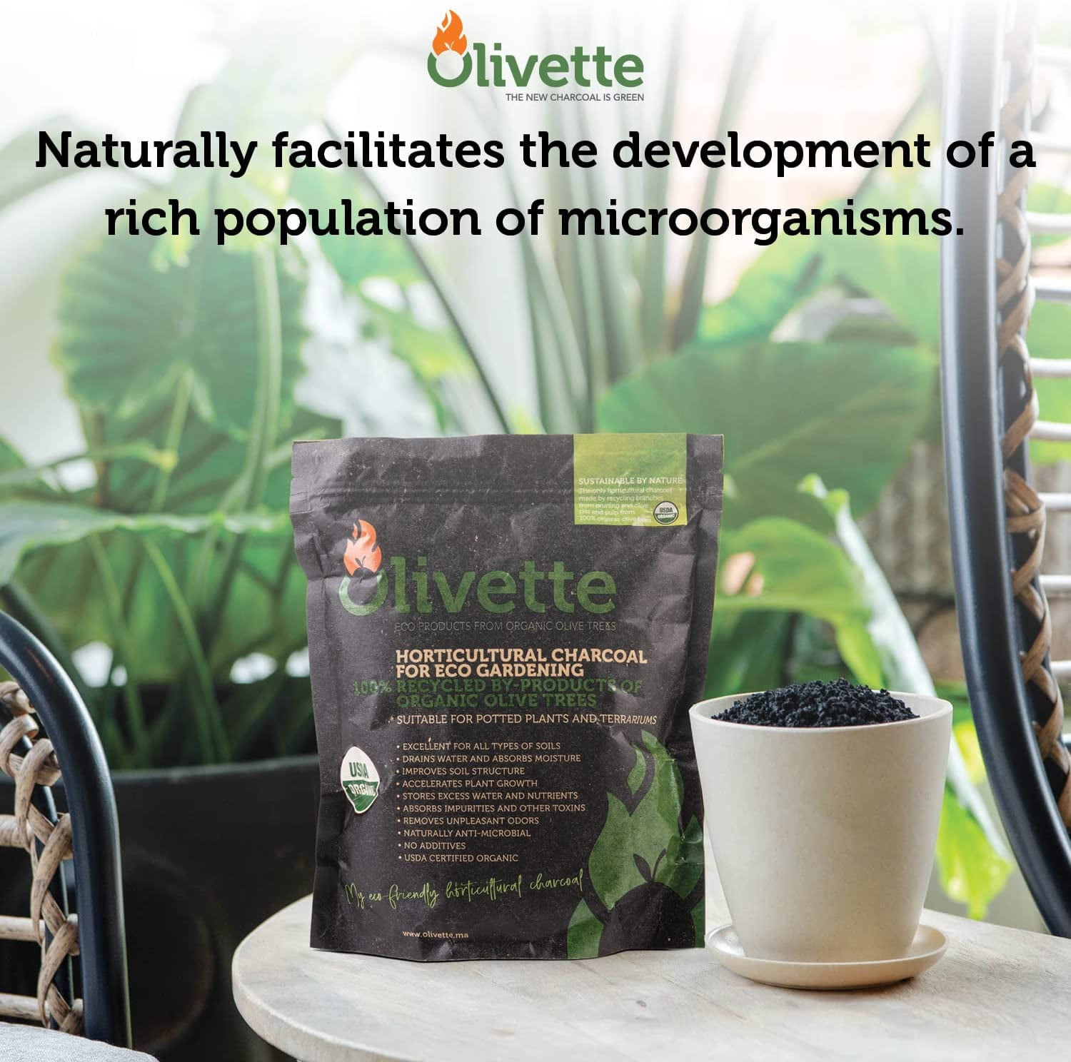 Horticultural Activated Charcoal for Plants by Olivette | Terrarium Horticulture Moisture Absorbers | Terrarium Supplies | USDA Organic Certified | Made from Recycled Olive Tree Byproducts | 3 Bags