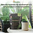thumbnail image 5 of Horticultural Activated Charcoal for Plants by Olivette | Terrarium Horticulture Moisture Absorbers | Terrarium Supplies | USDA Organic Certified | Made from Recycled Olive Tree Byproducts | 3 Bags, 5 of 7