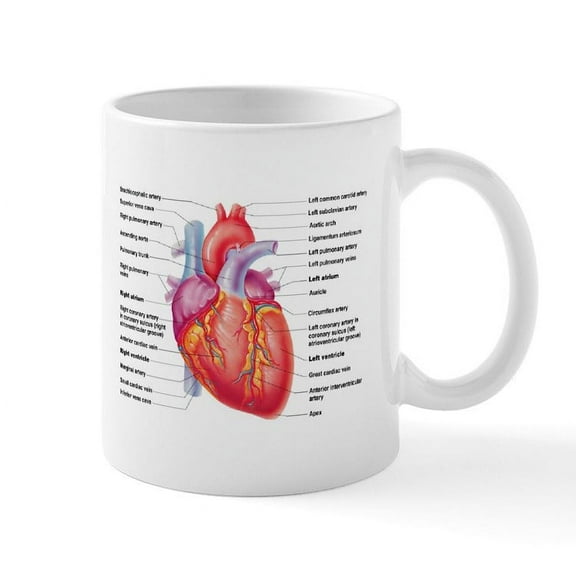 CafePress - Human Heart Mugs - 11 oz Ceramic Mug - Novelty Coffee Tea Cup