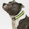 thumbnail image 4 of Tvtnvo Led Dog Collar Light Leash Usb Rechargeable Solar Powered Safety Visibility Multiple Lighting Modes Adjustable Long Lasting Waterproof Design for Night Walks and Training Green 13.8-15.7in, 4 of 5
