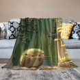 thumbnail image 2 of Fenyluxe Hedgehog Blanket Flannel Throw Blanket for Gifts for Women Men Girls Boys All Seasons Super Soft Cozy Throws Blanket for Couch Sofa Bed Office  40x50in, 2 of 6