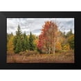 thumbnail image 2 of Head, Danny 14x11 Black Modern Framed Museum Art Print Titled - Woodland Variety, 2 of 5
