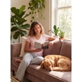 thumbnail image 4 of Emmalise Women’s Short Sleeve V-Neck Fitted Top Electric Brights Assortment-S, 4 of 9