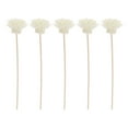 thumbnail image 1 of 5 Ensembles Petits Bâtons de Canne Parfumée Chrysanthème en Rotin Parfum Naturel Diffuseur d'Huile Remplacement Bâtons d'Arôme Blanc (5 Pcs Chrysanthème 5 Pcs Bâtons en Rotin), 1 of 8