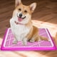 thumbnail image 4 of Inodoro para Mascotas, Orinal para Perros Y Gatos, Soporte para Almohadilla de Entrenamiento de Malla Pequeña, Protección Lavable para Superficies de Rosado, 4 of 5