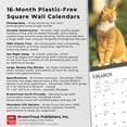 thumbnail image 6 of Ginger Cats | 2025 12x24" (Hanging) Square Wall Calendar | BrownTrout, 6 of 9