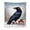 D, variant on Soft Warm Flannel Throw Blanket Mystical Raven Bird Print For Living Room Bedroom Home