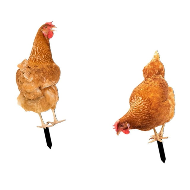 Estaca de Estatua de Animal Zulema 2 Piezas de Pollo Acrílico para Jardín