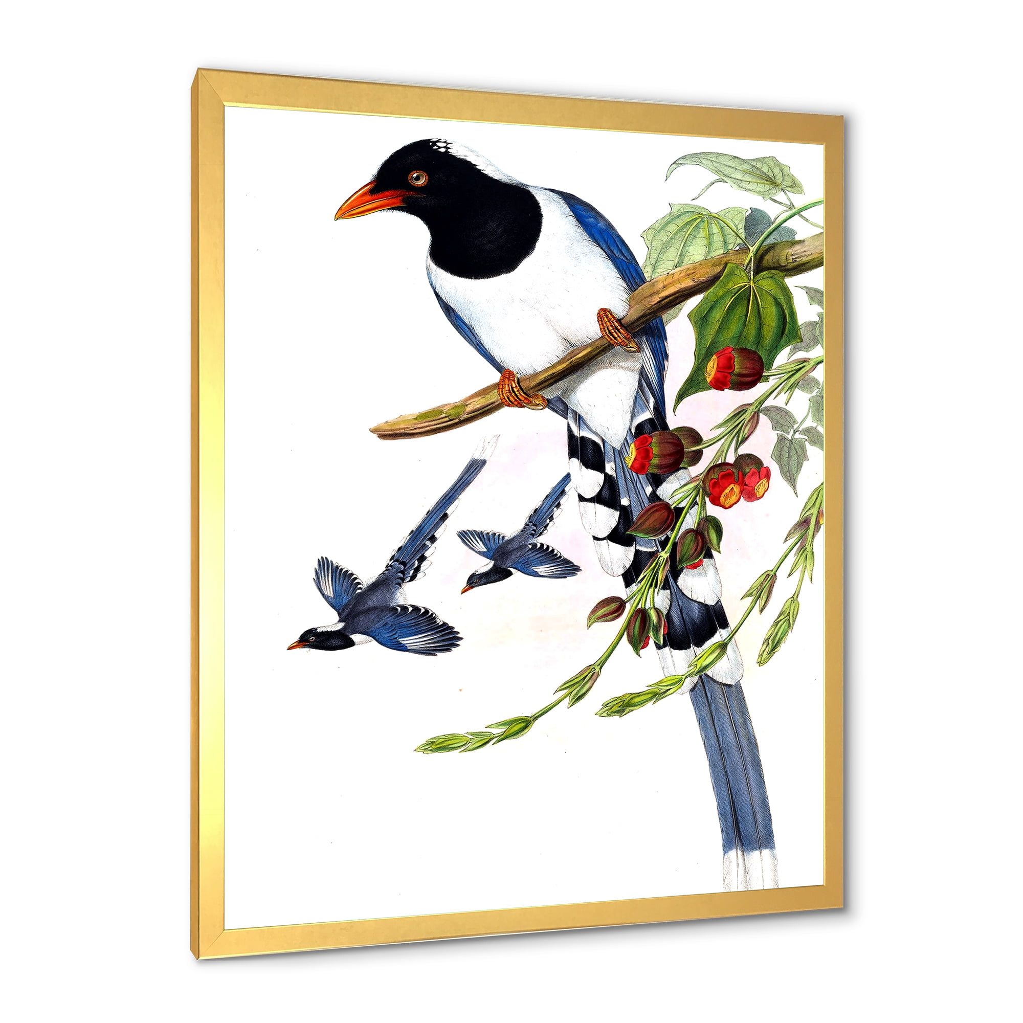 Designart 'Vintage Countryside Birds On Branch IV' Farmhouse Framed Art Print