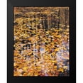 thumbnail image 2 of Gavrilis, John 12x14 Black Modern Framed Museum Art Print Titled - Autumn Detail, 2 of 5