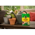 thumbnail image 4 of Miracle-Gro Watering Can Singles All Purpose Water Soluble Plant Food, 24 Singles/Bag, 4 of 8