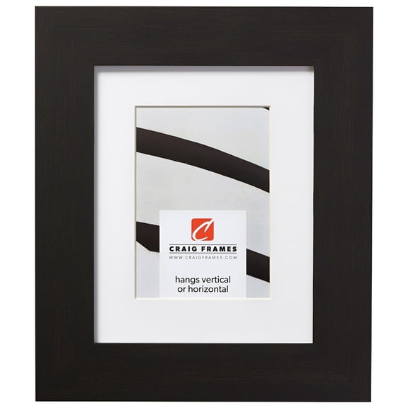 Craig Frames Bauhaus 200, 20x26 inch Black Coffee Picture Frame Matted for a 16x22 Photo