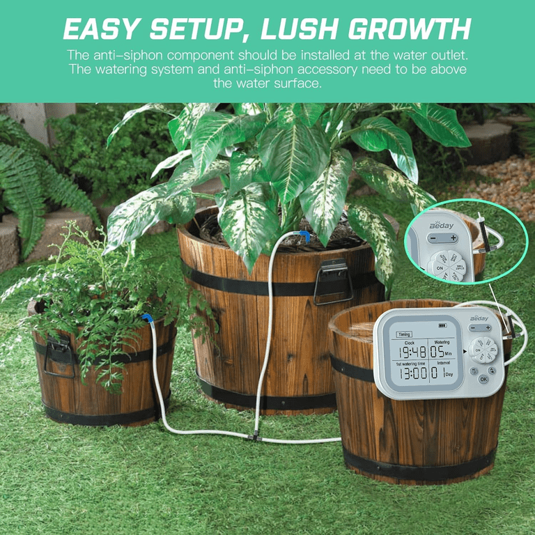 benjamin plant care Ficus Benjamina Variegata main image 1