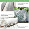 thumbnail image 5 of UV Resistant Clear Polyethylene Film,Bexikou 9.84 x 19.7 ft Clear Greenhouse Plastic Sheeting,Plant Cover Sheeting for Farms, Agriculture, Garden, 5 of 6