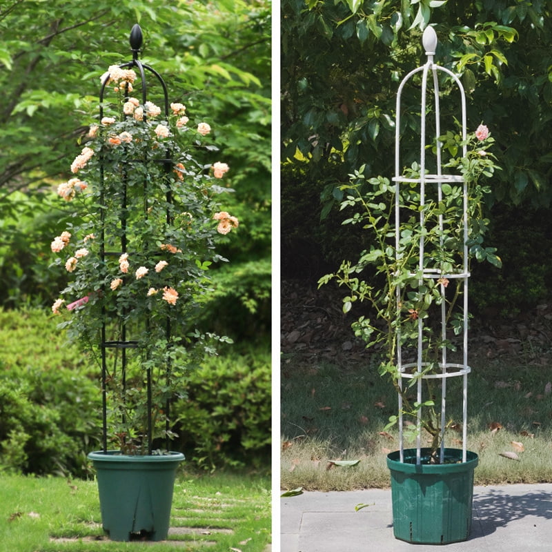 Gardening Stand Flower Display Climbing Plant Rack Vine Holder Support Frame
