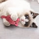 thumbnail image 5 of Juguete Interactivo con Forma de Perro y Gato, Resistente a Los Mordiscos, de Plástico, Divertido para Limpiar Los Dientes., 5 of 5