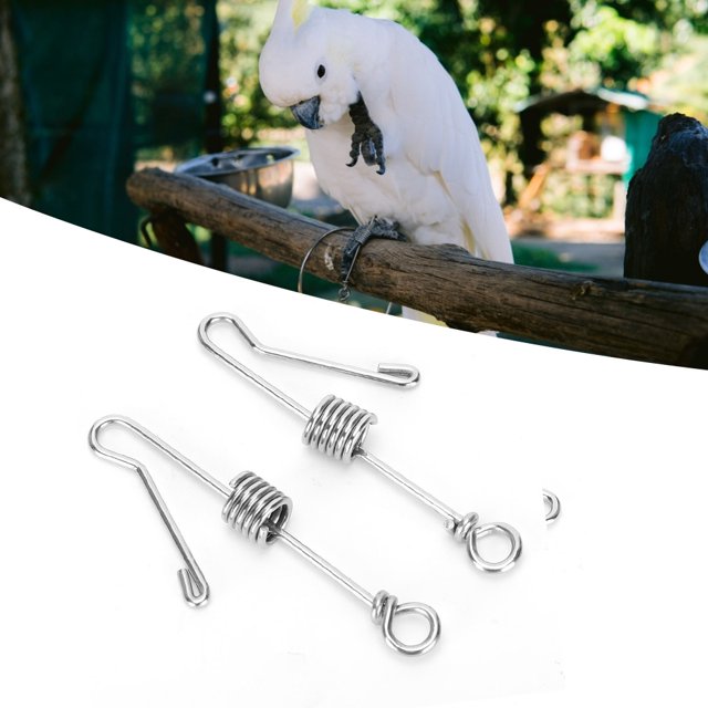 Parrots Leg Buckle, Parrots Foot Buckle, Durable Parrots Foot 2Pcs Stainless Steel Parrots Leg Bird Parrots Parrots Foot For Pet