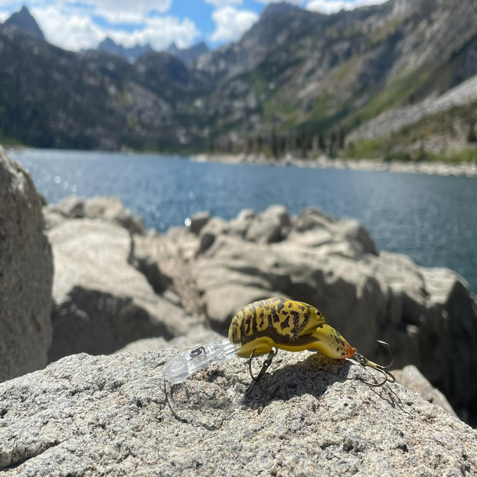 Rebel Deep Teeny Wee Craw - Gully Craw - 1.5"