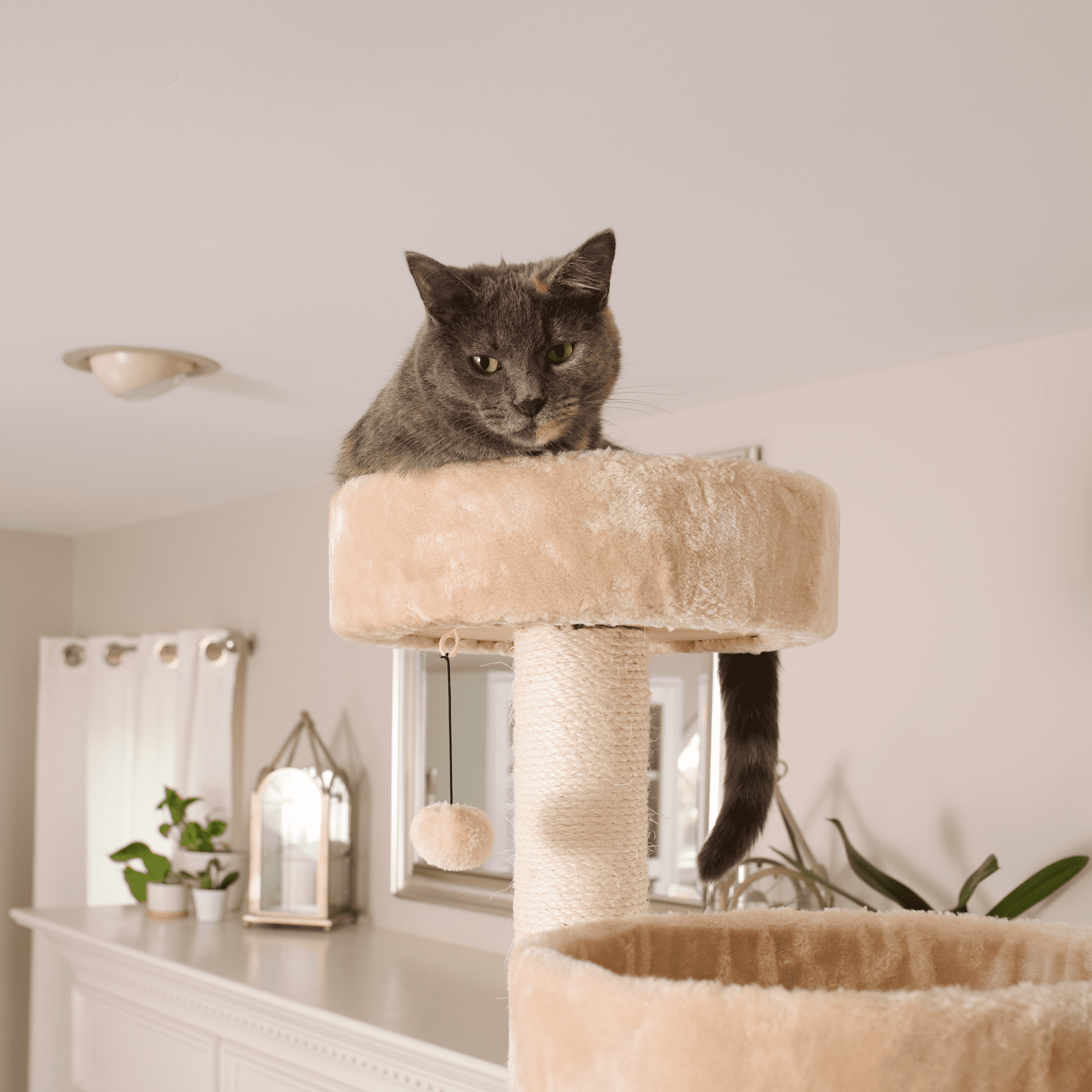 Armarkat Royal Perch Cat Mansion Tree A8402