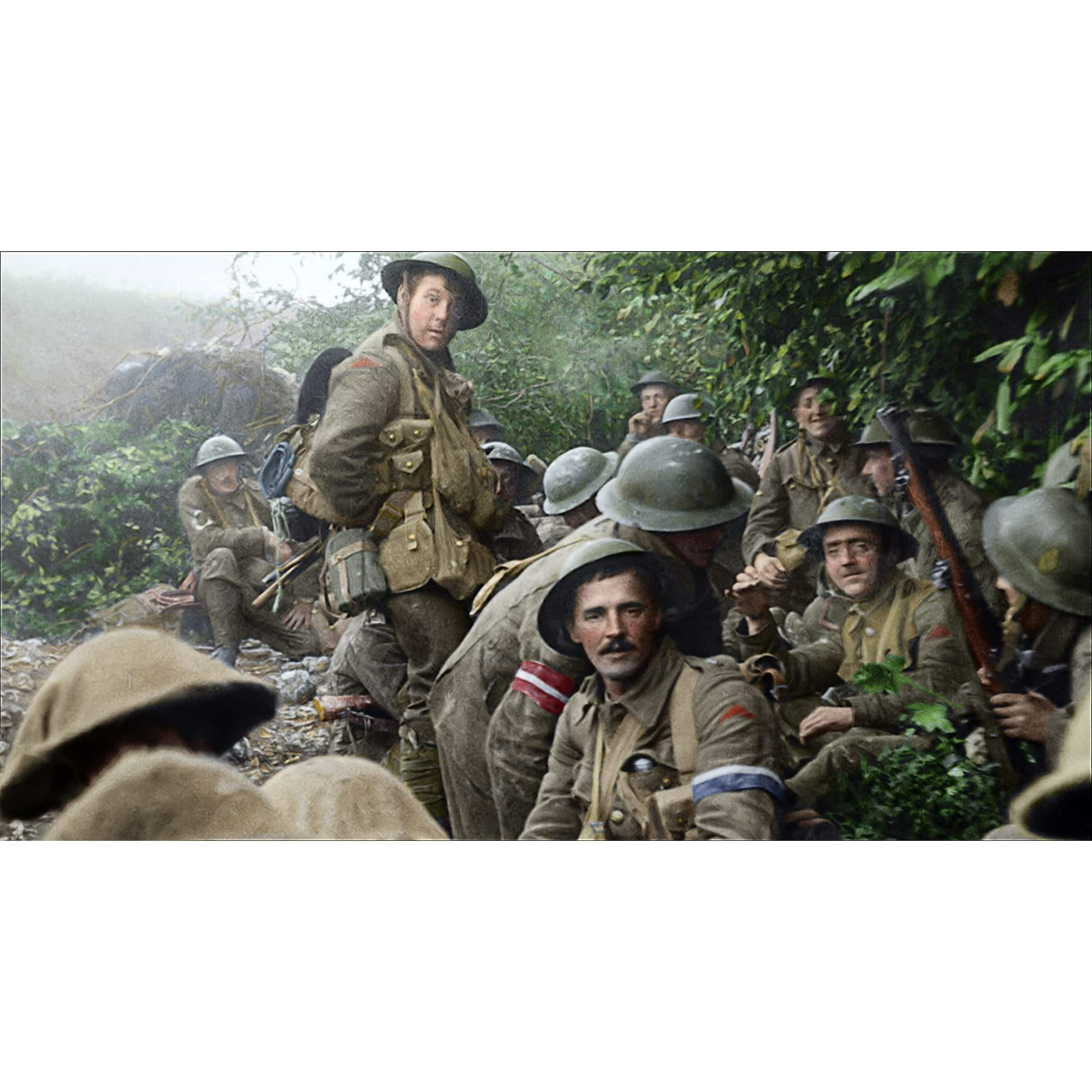 They Shall Not Grow Old Dvd Walmart Canada They Shall Not Grow Old Dvd Walmart Canada