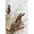 thumbnail image 2 of 1x Studio III 11x14 White Modern Wood Framed Museum Art Print Titled - Dried_001, 2 of 4