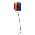 thumbnail image 1 of Juguetes para exteriores de Kite Soft Kites para niños Fácil Asamblea Resistente al agua Colorido Sport Kite Flying Toy para Yard Beach Park Travel, 1 of 8